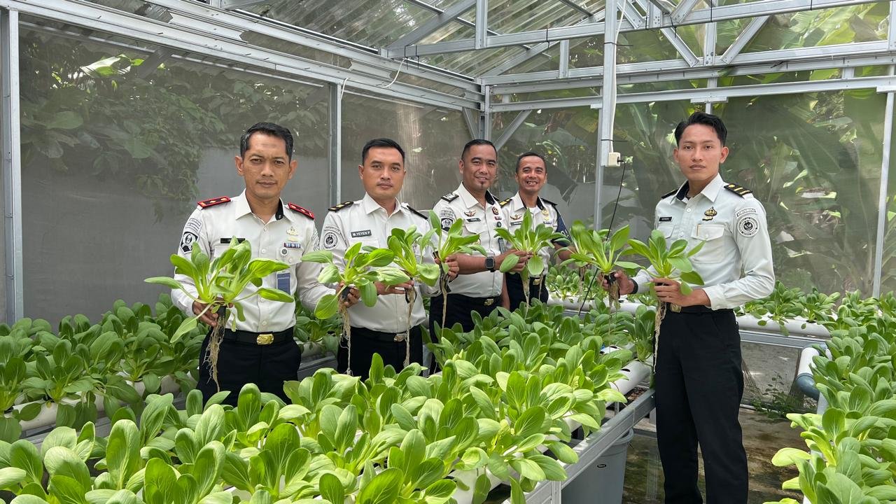 Program Ketahanan Pangan, Bapas Tanjungpandan Panen Pakcoy di Rumah Hidroponik